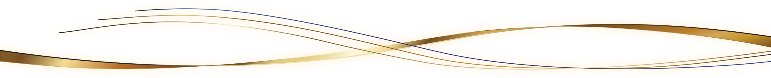 Full Width Image